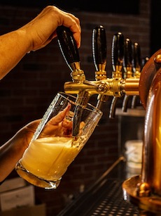 pivo